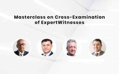 Masterclass on Cross Examination of Expert Witnesses